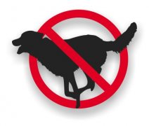 ЯȮ���ý��빫԰�㳡 ����Ȯ�����ó�����