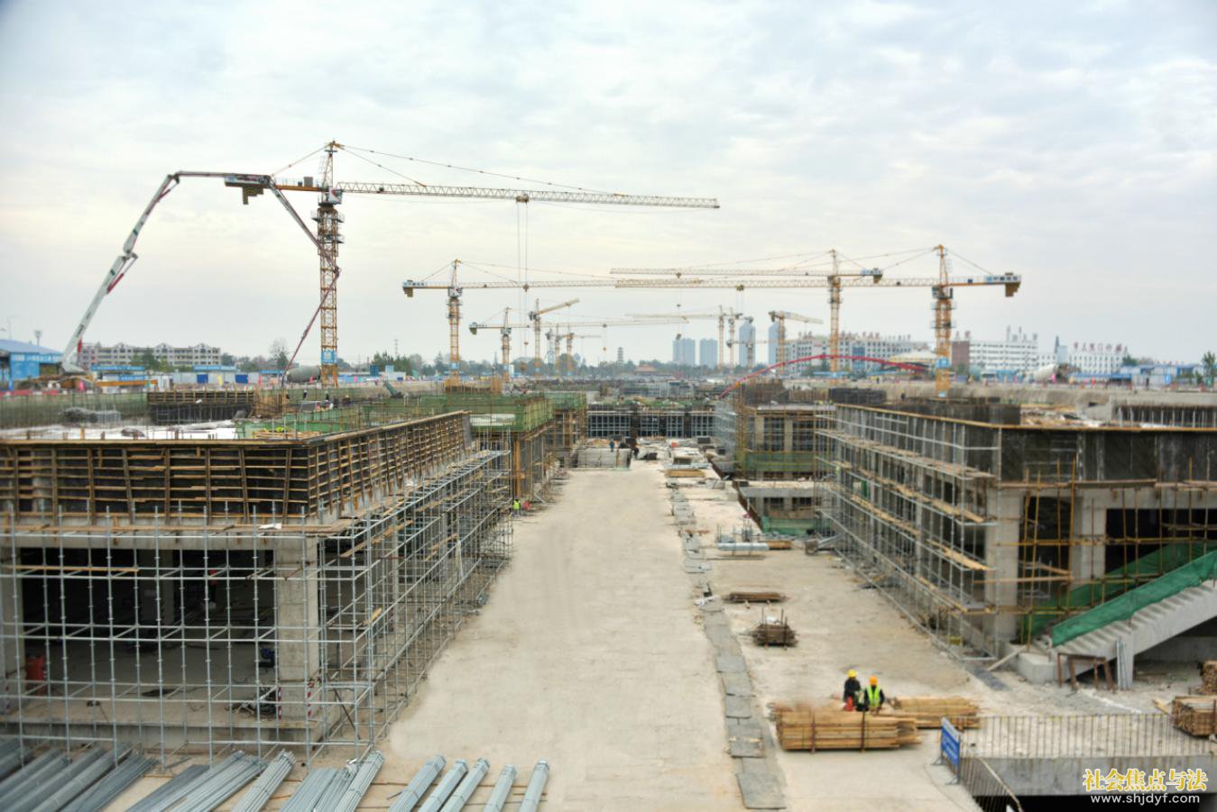 ˵��: ���� (01)