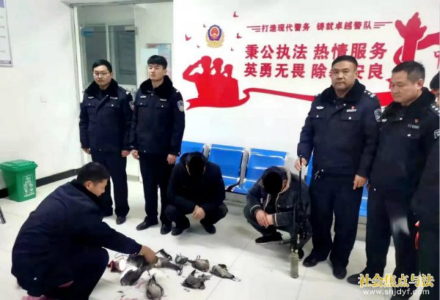 ��ǹ�Ƿ����� ������������뷨��