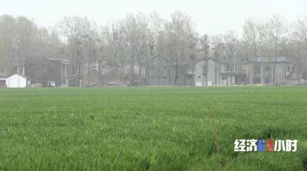 ˮ��ǽ������ĭ�������ܿ�¹����Ͷ��ǧ��ˮ�����̡��䡰���ӹ��̡�