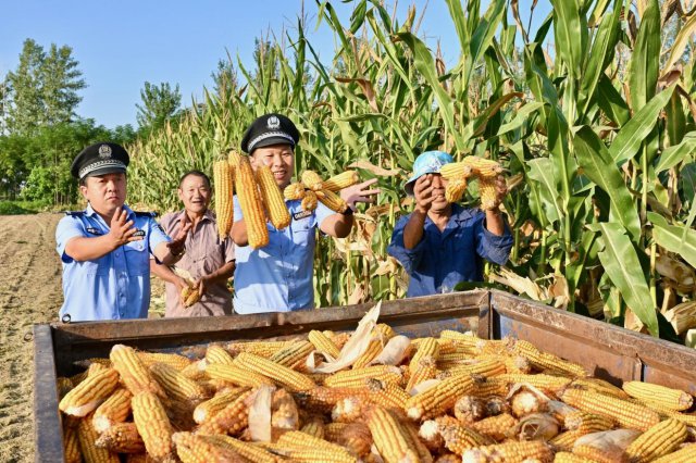 ������ؾ����������С���ΪȺ�ڰ�ʵ�¡��